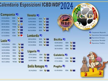  Calendario 2024