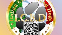APP fuori servizio
