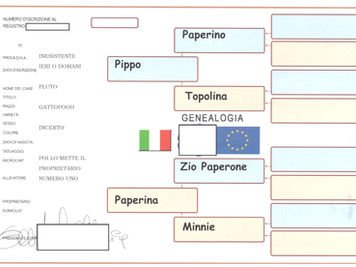 Pedigree Falsi Attenzione
