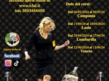 Corsi e Stage Professionali