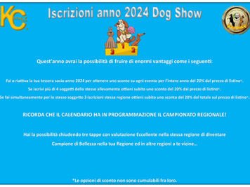 Nuove opportunità nel 2024