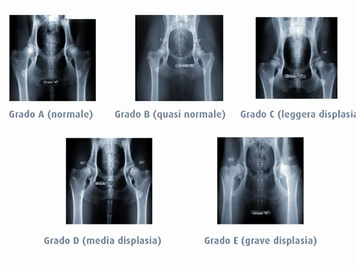 Razze canine Controlli da effettuare: