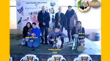 Esposizione Canina di Casaluce Marzo 2024