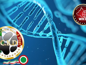 La serietà è il nostro vanto....