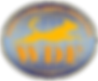 01A.png