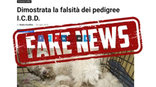 Dimostrata la falsità delle Fake News sui Pedigree I.C.B.D.