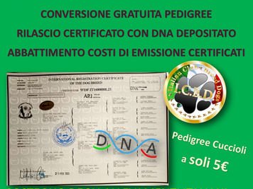 SCONTI ANNO 2024