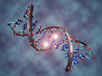 DIAGNOSI MALATTIE GENETICHE