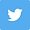 Twitter Social Icon